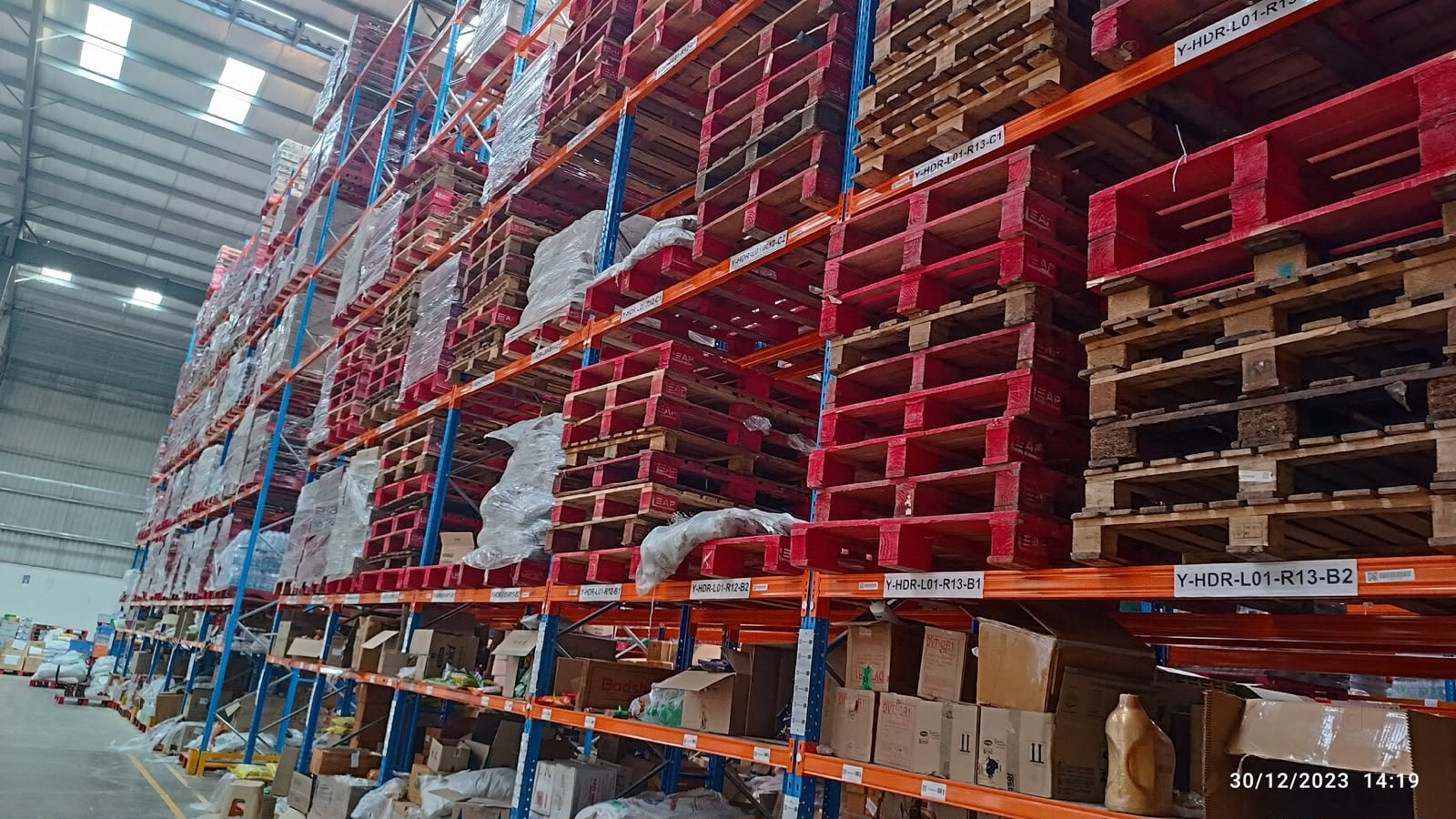 Store shelves with diverse grocery products